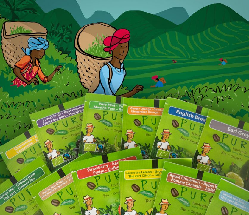 Puro Fairtrade theeplukkers en overzicht van het biologische en fairtrade thee assortiment